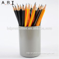 33pcs Wooden Coloured Pencils And 3pcs Sketch Pencils Set